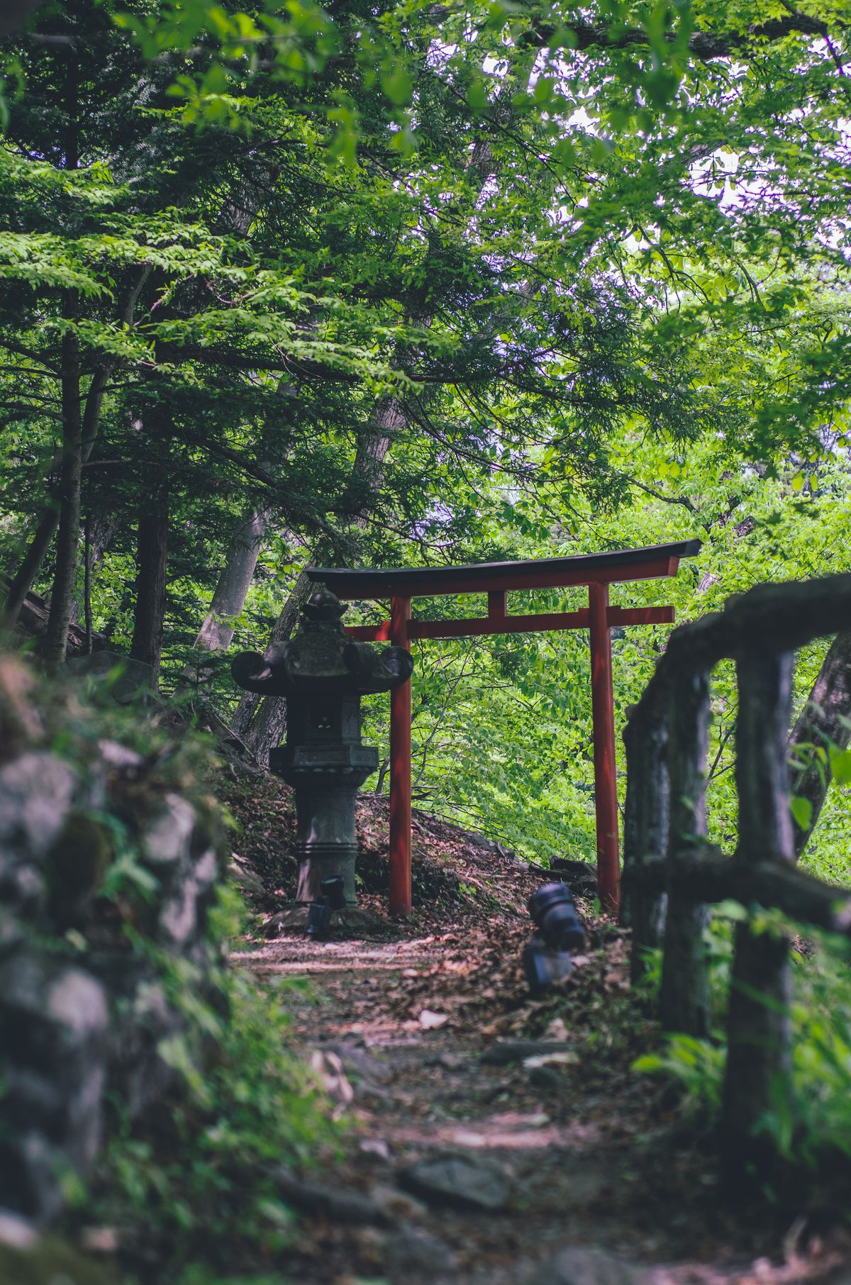 山あいの神社の鳥居と参道のイメージ