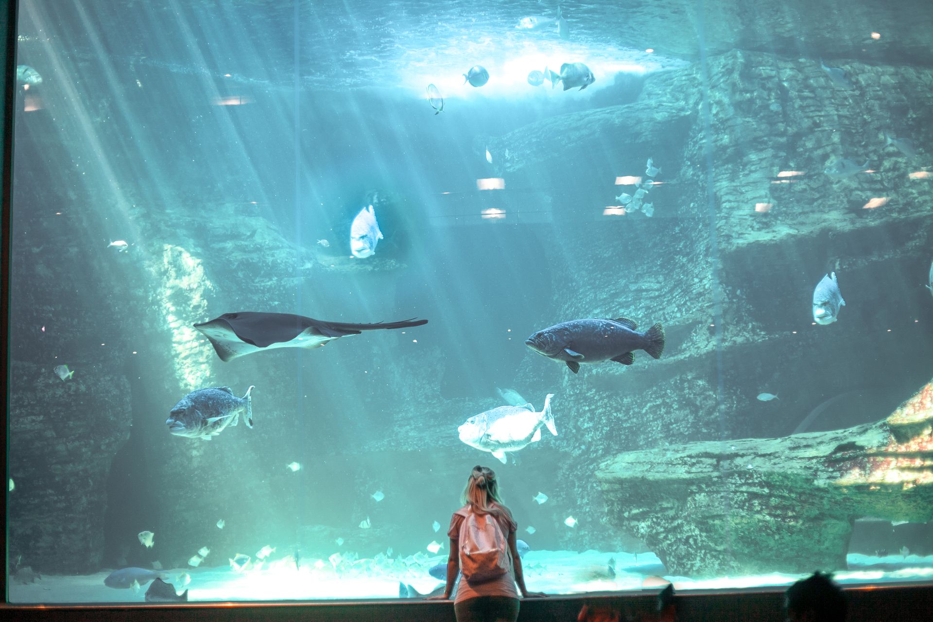 Back View of Woman Standing in front of a Glass Wall with Fish in an Aquarium