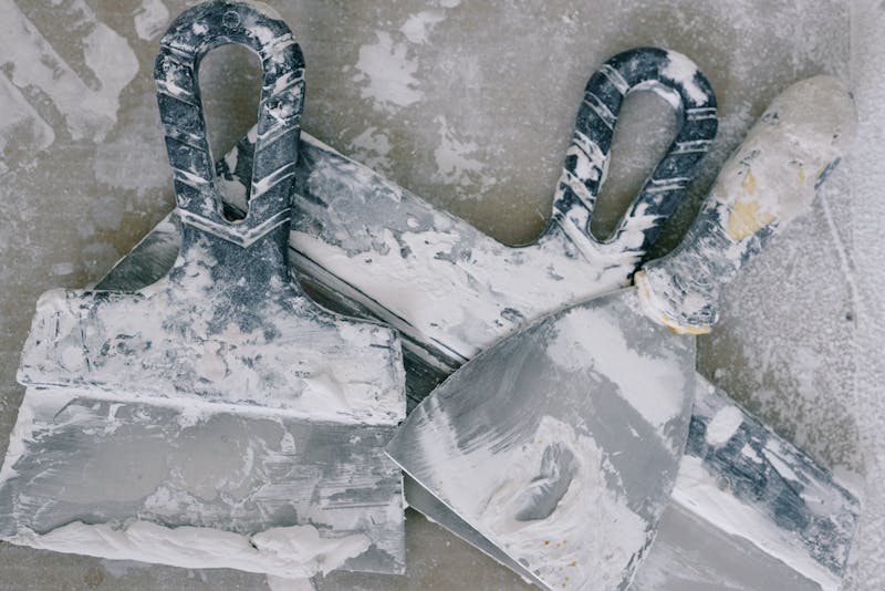 牛隻使用工具的發現:這將如何重塑2026年畜牧業的認知與實踐? 牛隻使用工具的發現:這將如何重塑2026年畜牧業的認知與實踐?