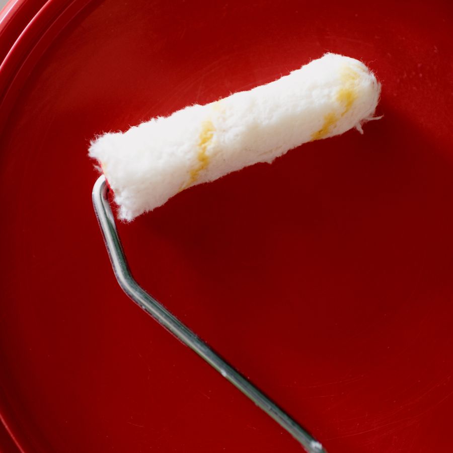 Paint Roller (9 inch)