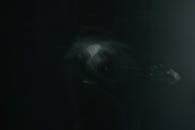 Abstract dark background with human hand trace
