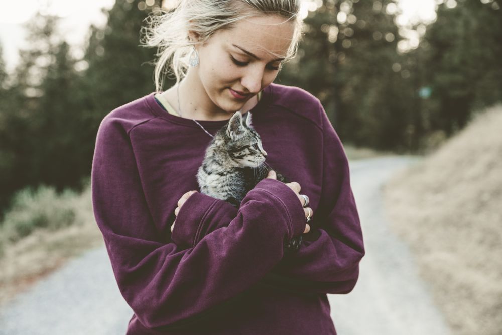 Los Sentidos de Tu Gato Los Sentidos de Tu Gato