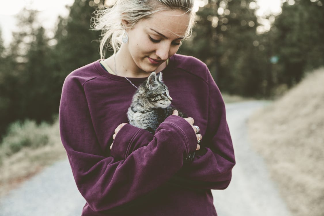 Free Selective Focus Photography of Woman Wearing Purple Sweater Holding Silver Tabby Cat Stock Photo