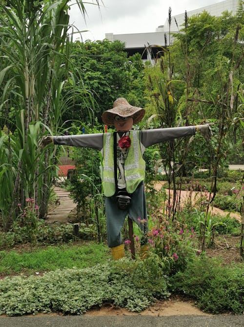 Foto profissional grátis de Cingapura, espantalhos, hortpark