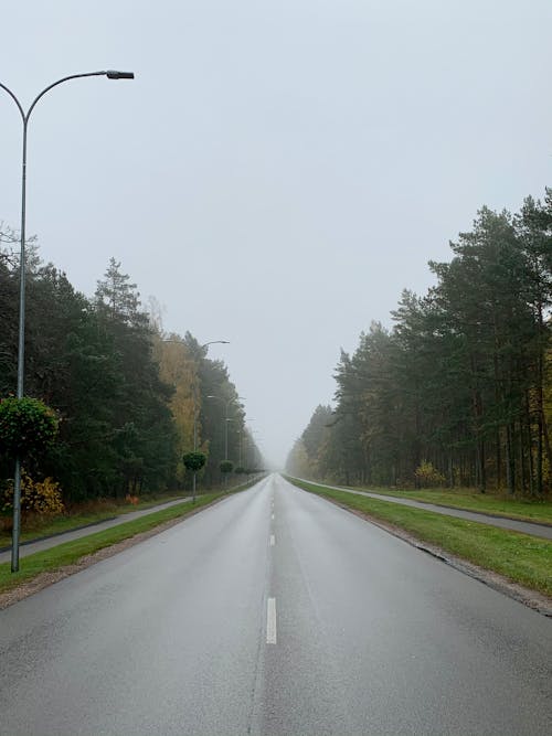 Wide Road Through Forest