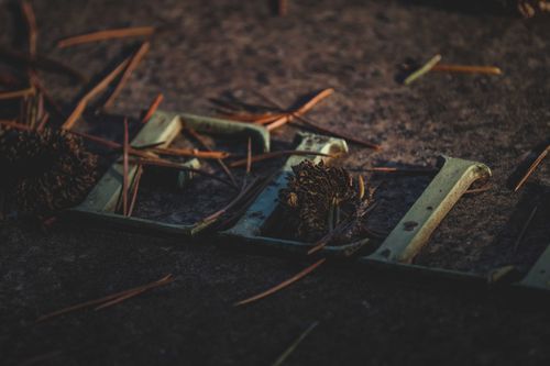 Free From above closeup of dry wooden sticks and leaves fallen on tombstone with metal letters in graveyard on autumn day Stock Photo