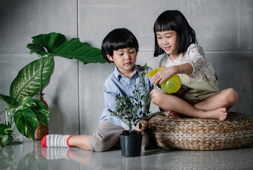 Free Full body cute content Asian sister and brother sitting on floor and spraying lush houseplants together by using spray bottle Stock Photo