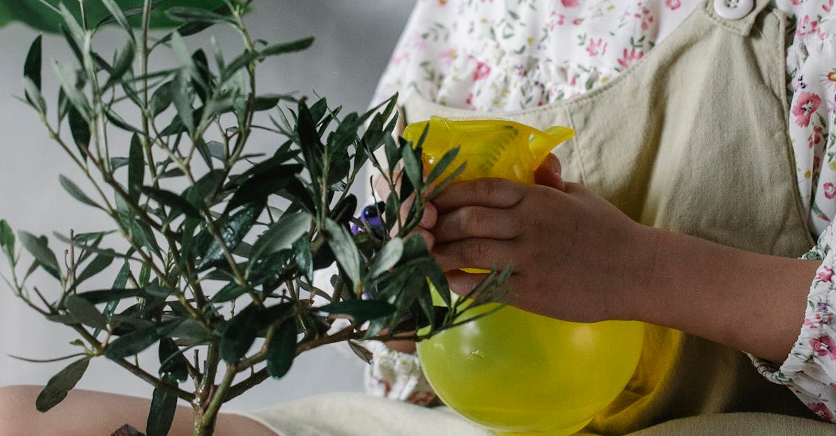 How to grow out bangs little girl