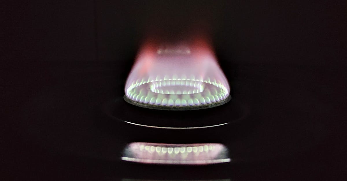 財經:奧地利計劃擺脫對美國液化天然氣的依賴,尋求能源自主