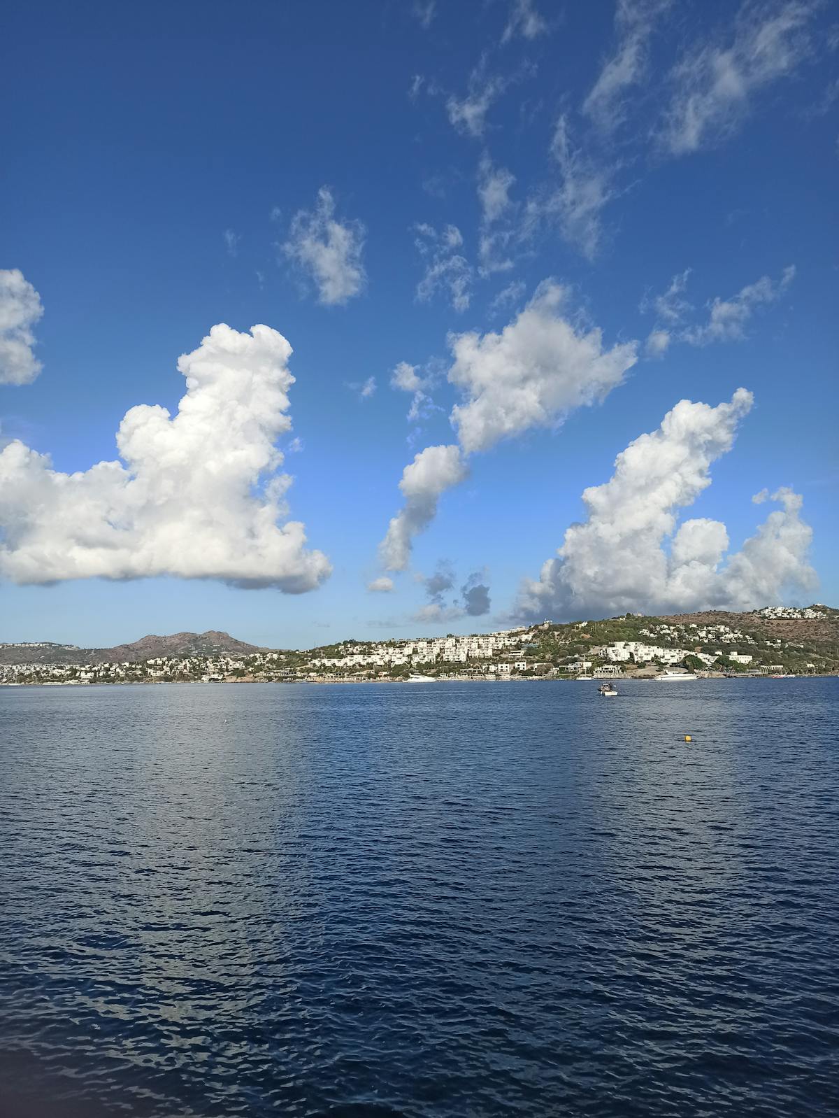 Astrology chart and zodiac wheel on a table