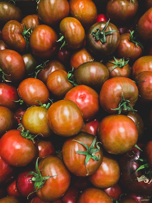 Free Bunch of Red Tomatoes Stock Photo