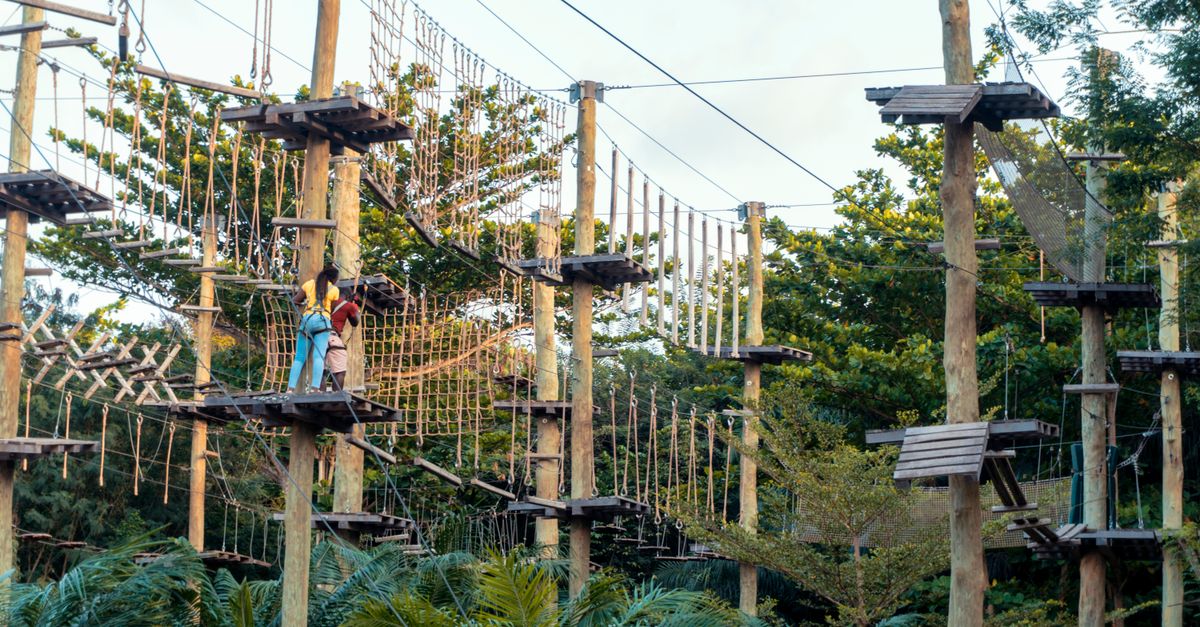 A thrilling high ropes course set amidst lush greenery, perfect for outdoor climbing adventures.