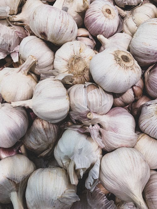 Close-Up Photo of Garlic