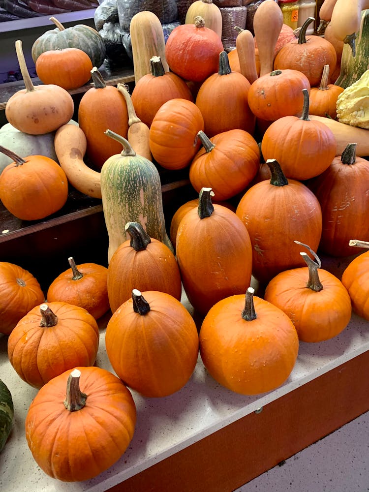 Different Sizes Of Pumpkins