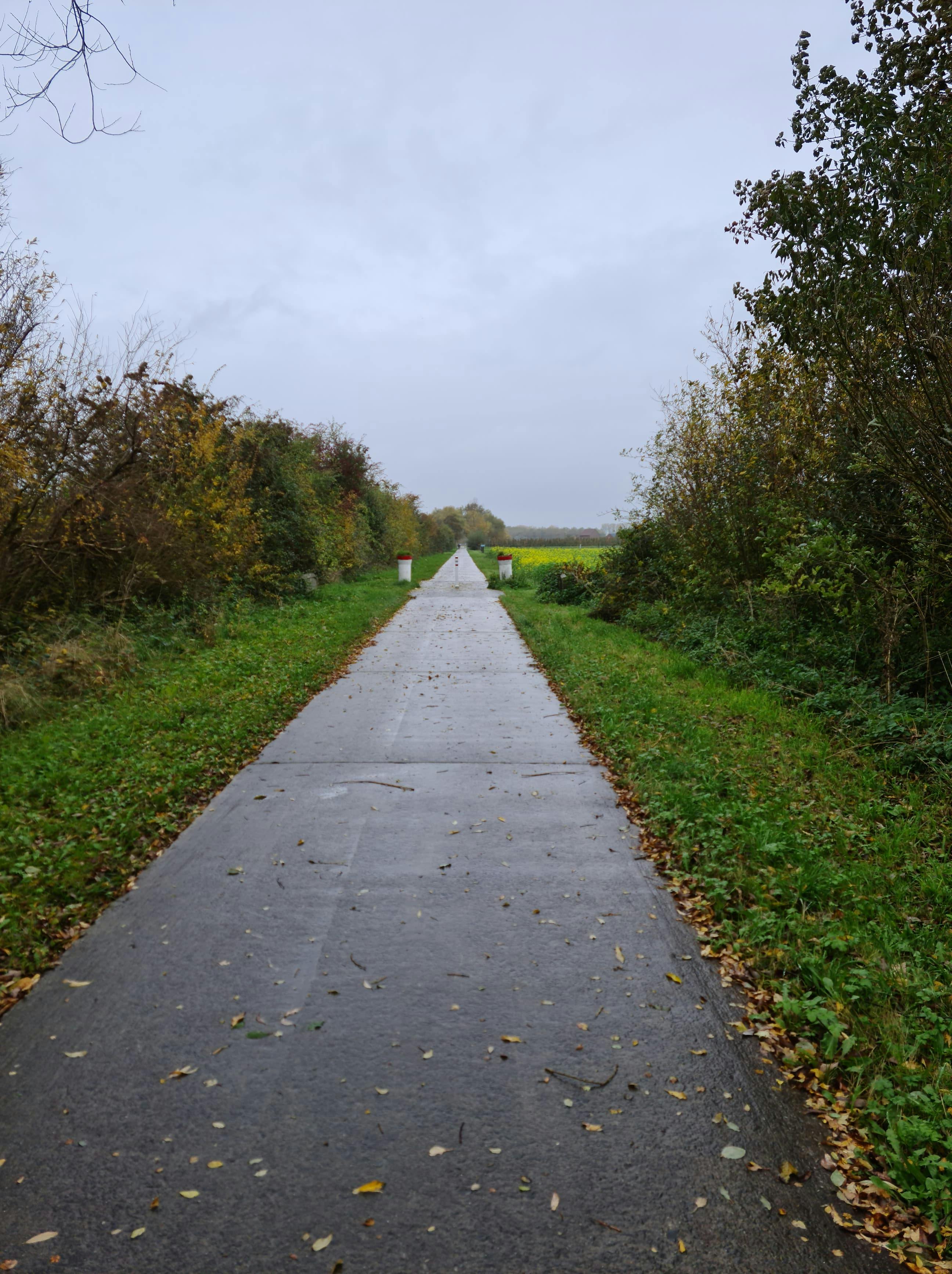 Tranquil countryside road flanked by lush green grass and trees under a gloomy sky.