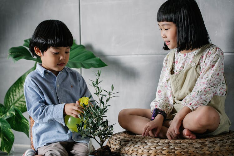 Curious Ethnic Children Spraying Water On Plant In Apartment