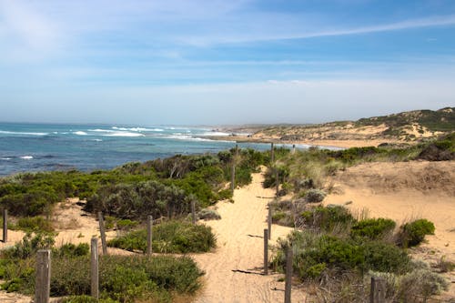 Free stock photo of australia, beach, great ocean