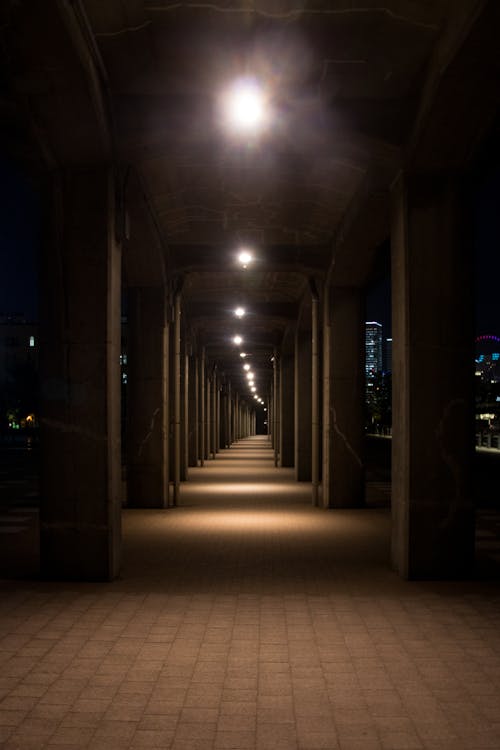 Free stock photo of bridge, city, night