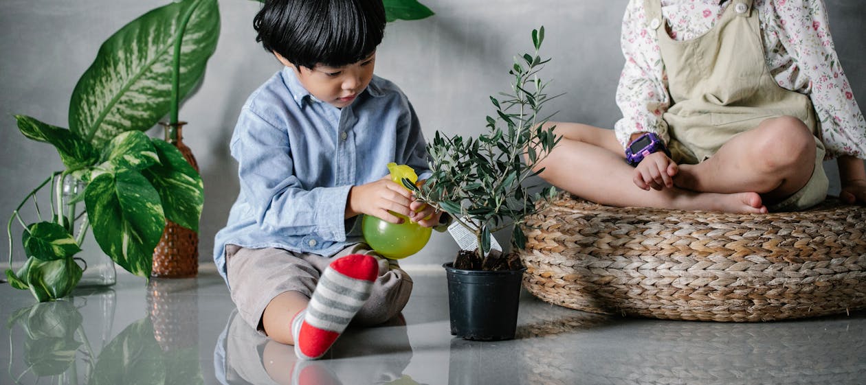 Crop adorable Asian siblings wearing casual outfits sitting on floor and spraying lush potted houseplant