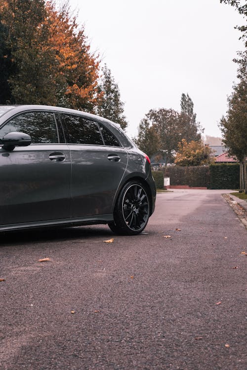 A Car Parked on the Street Near the Trees