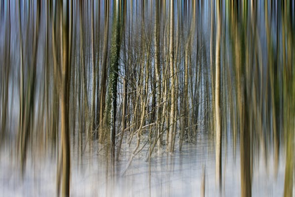 Protección para mascotas pequeñas