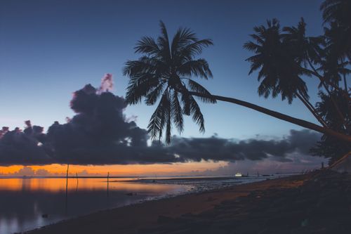 Free Dramatic sunset at a tropical beach with palm trees silhouetted against a vibrant sky. Stock Photo