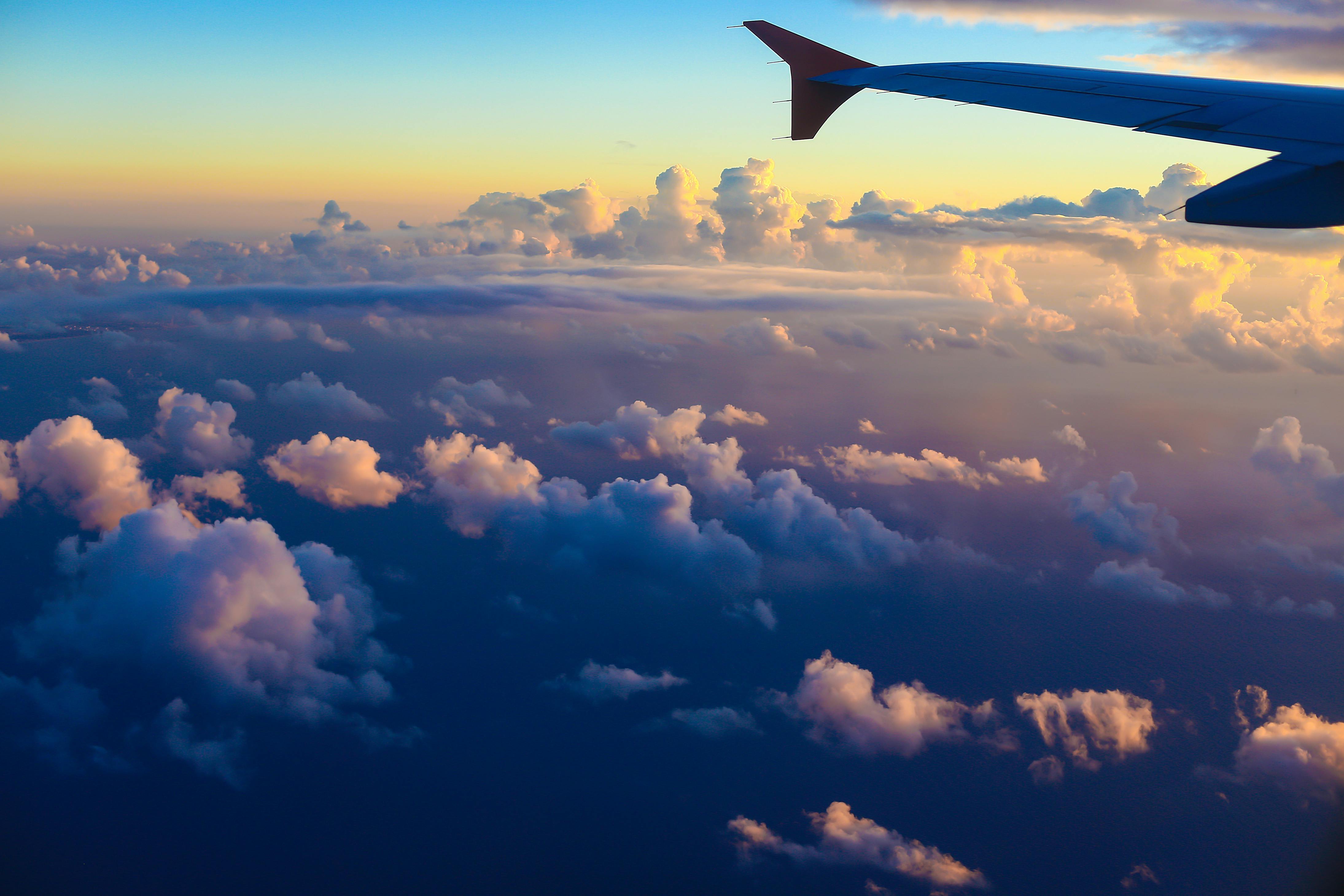 المجموعة الرسمية