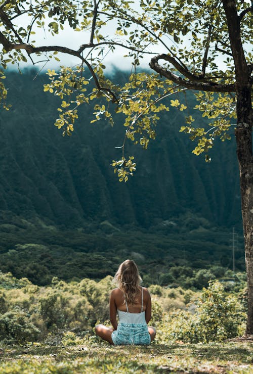 Gratis Hembra Irreconocible Meditando Sobre La Hierba En Las Tierras Altas En Un Día Soleado Foto de stock