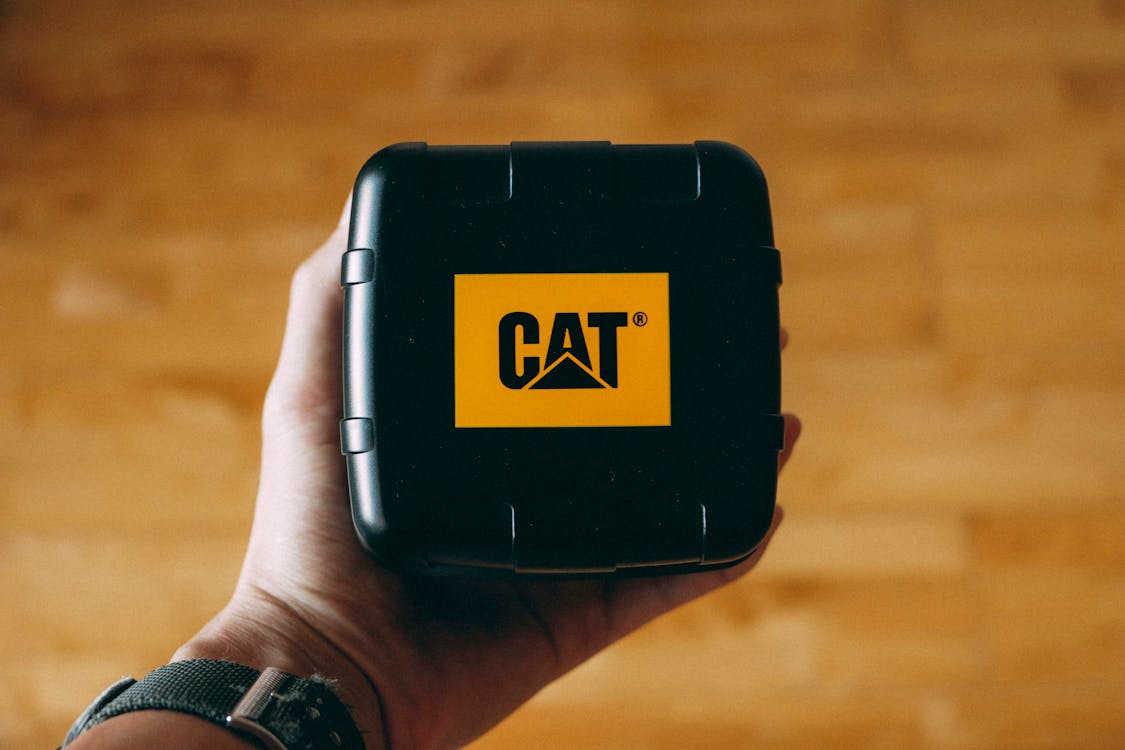 Free Person Holding Black Cat Case Stock Photo