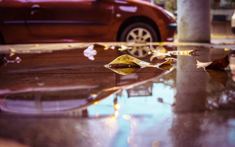 Reflection Of Modern Car In Puddle