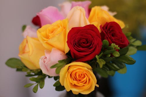 Free Close-Up Shot of Rose Flower Arrangement Stock Photo