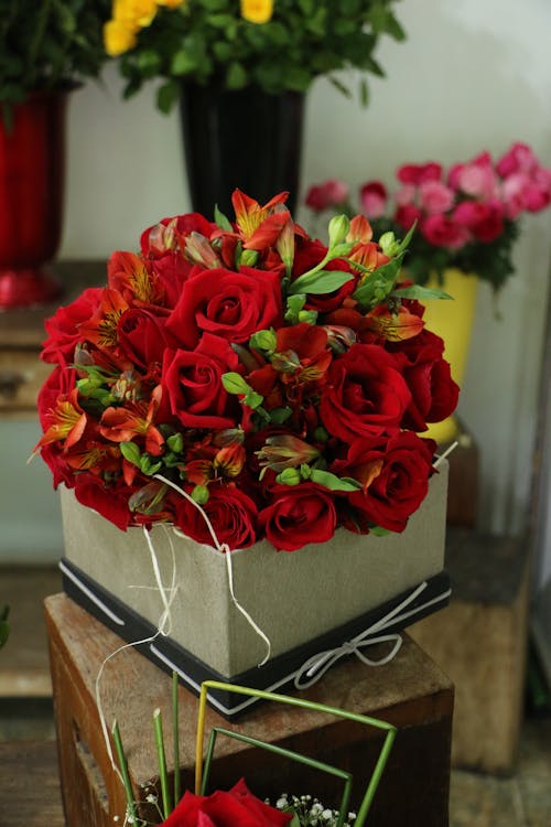 Free Close-Up Shot of a Box with Red Roses Stock Photo