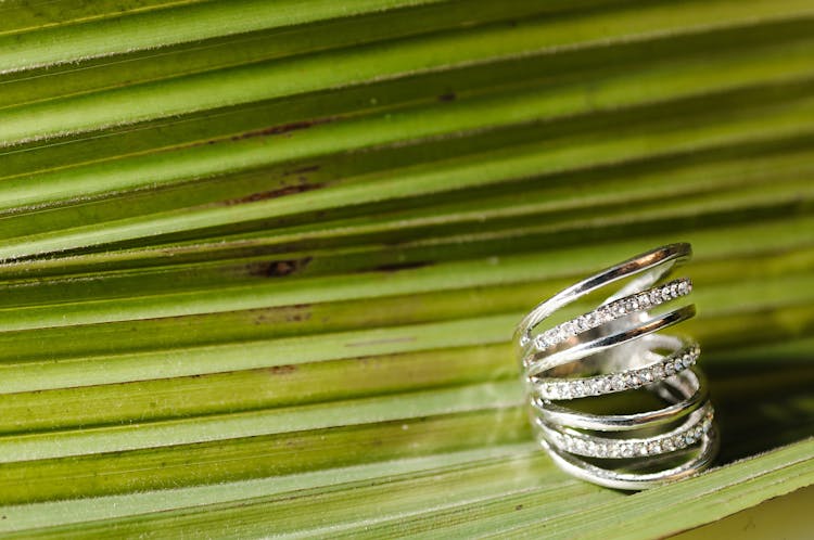 Silver Ring With Diamonds Placed On Fresh Textured Leaf