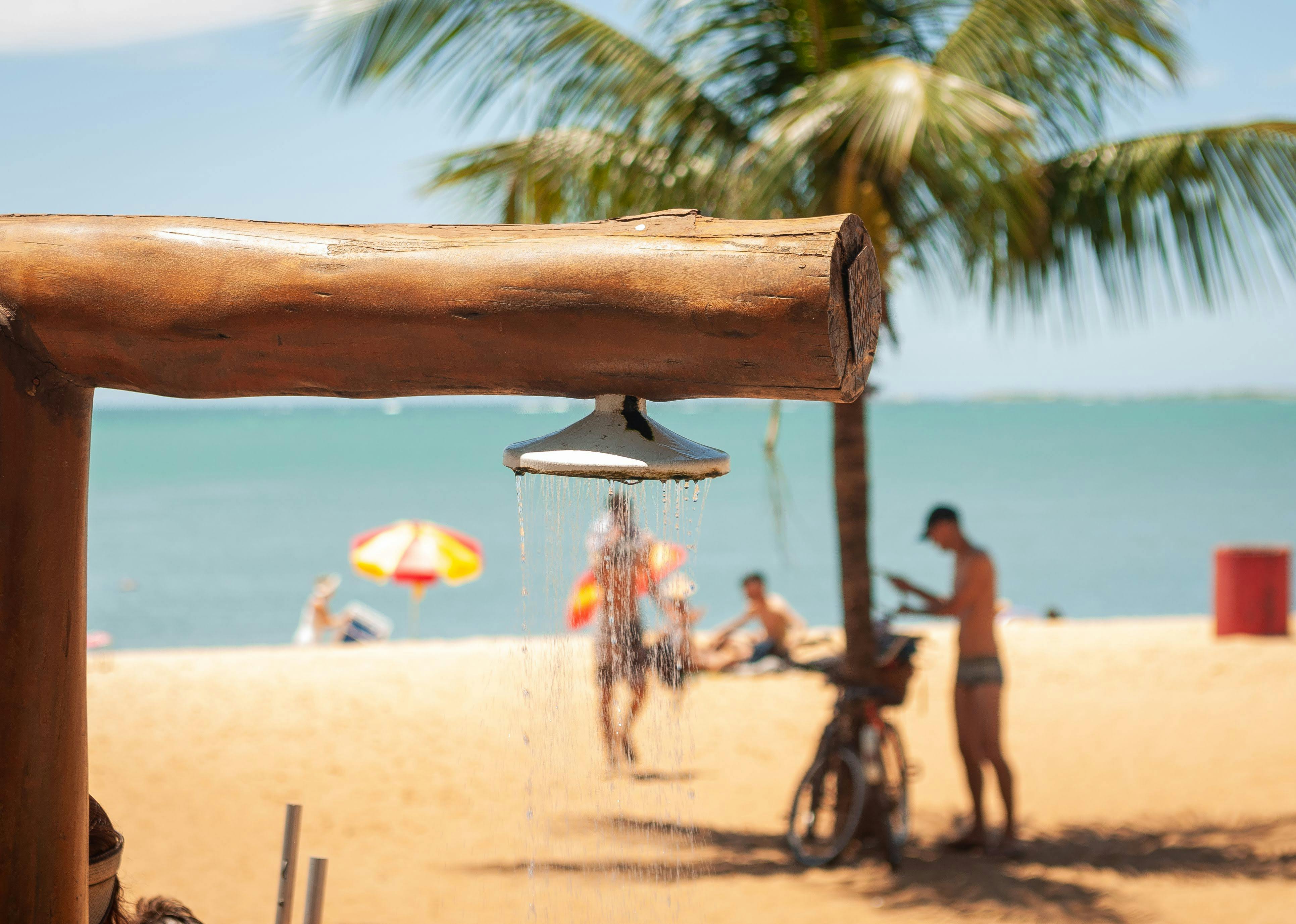 Can you pressure wash mold off wood?