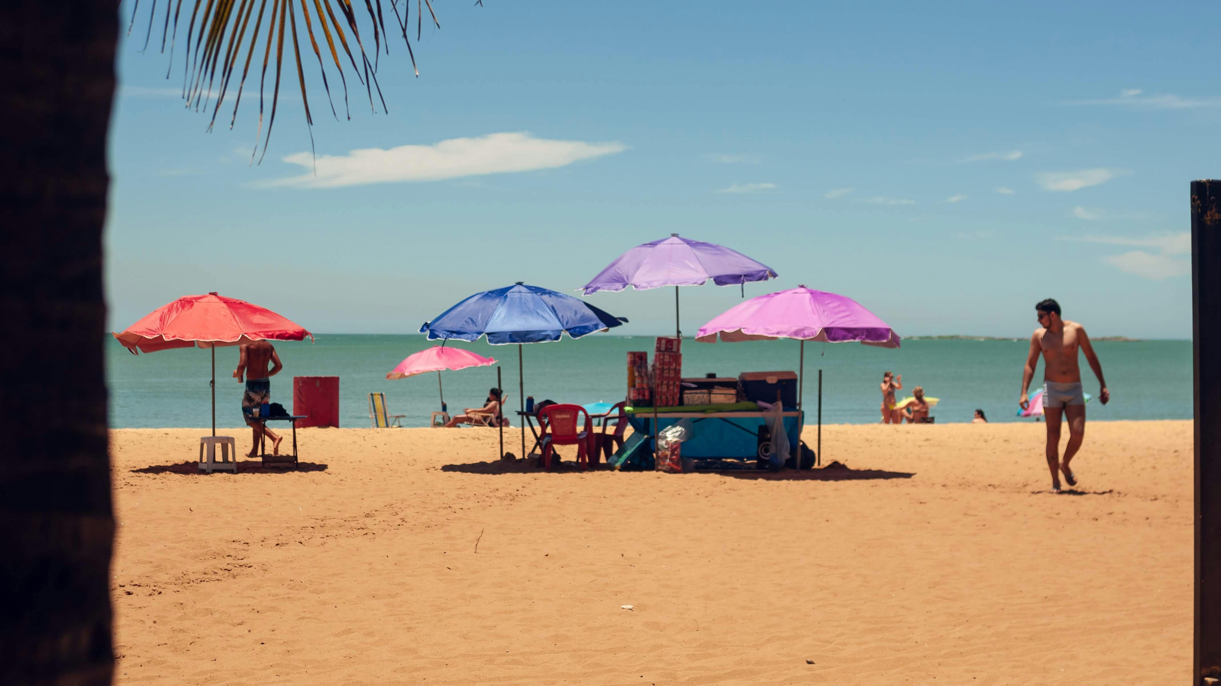 걱정 없는, 계절, 고요한의 무료 스톡 사진