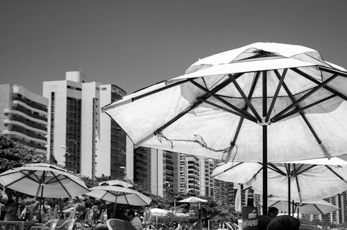 Free Black and white of umbrellas on terrace of resort hotel with tables and chairs near beach Stock Photo