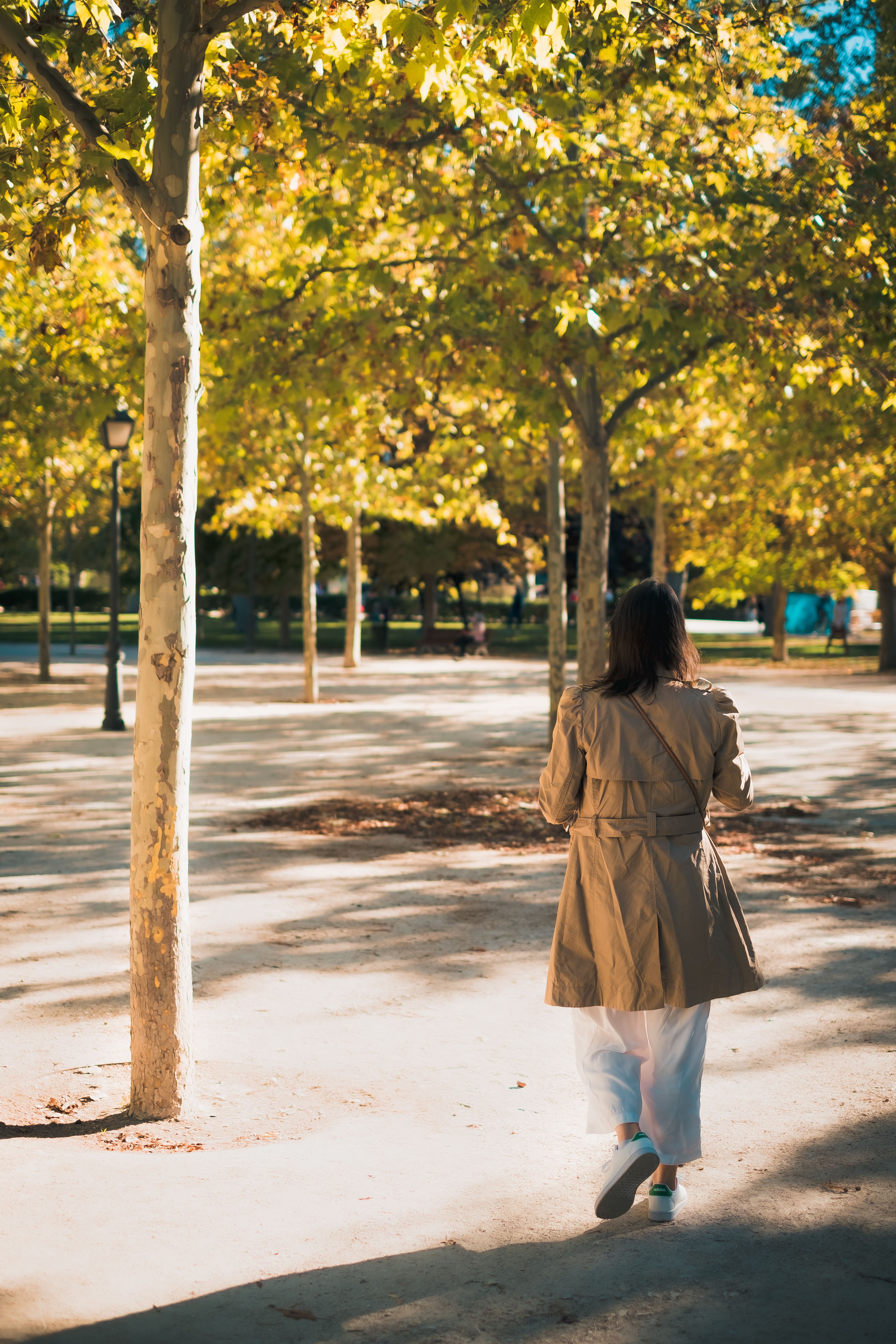 Woman in Brown Coat Walking on Park · Free Stock Photo