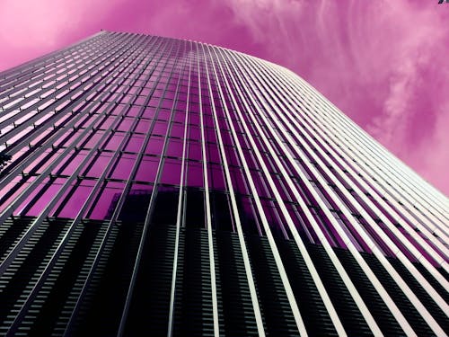 免费 紫色天空下的灰色混凝土高层建筑 素材图片