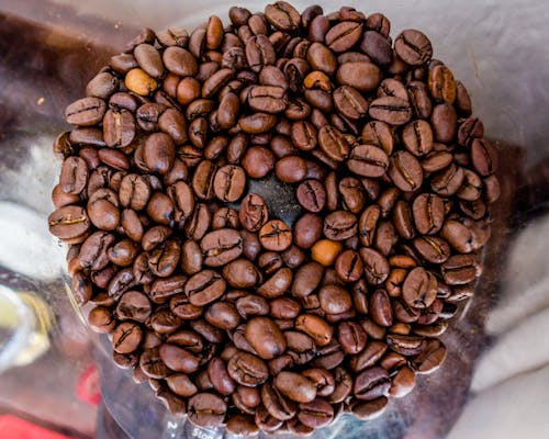 Free From above of plastic coffee grinder full of fresh aromatic coffee beans in cafe Stock Photo