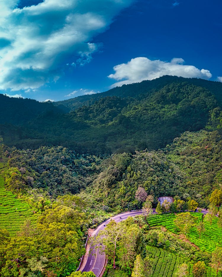 Serpentine Road In Mountainous Area