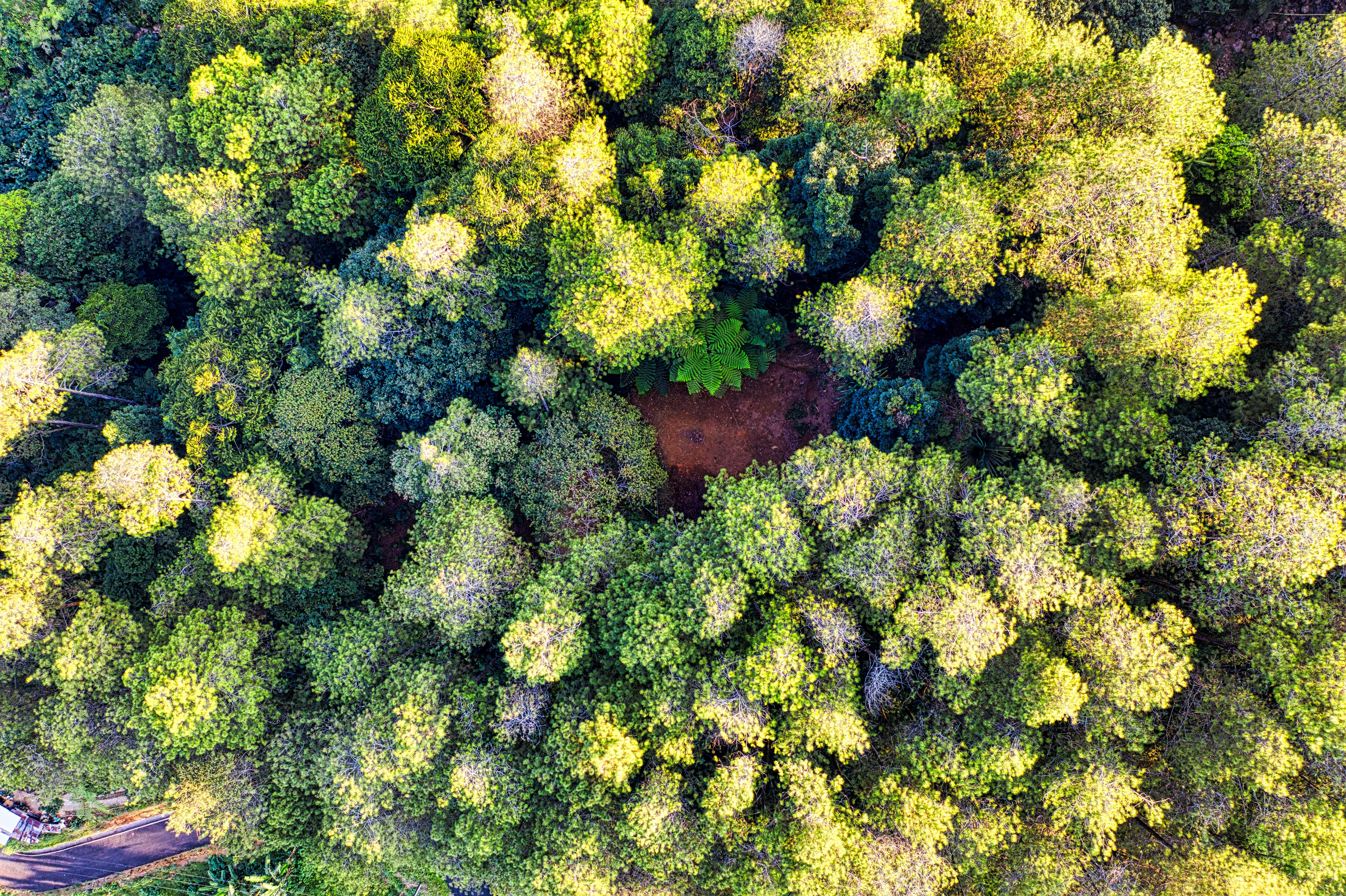 Hidden Islands of Indonesia: Explore Untouched Gems Beyond Bali