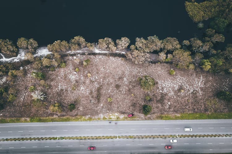 Cars On Road Near Forest And Lake