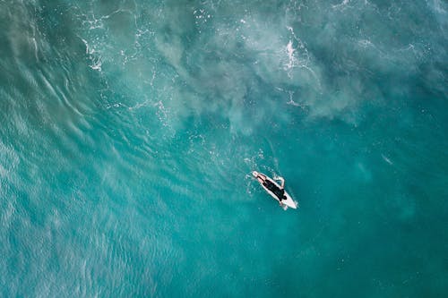 Surfer Aan Boord In Levendig Blauw Reservoir