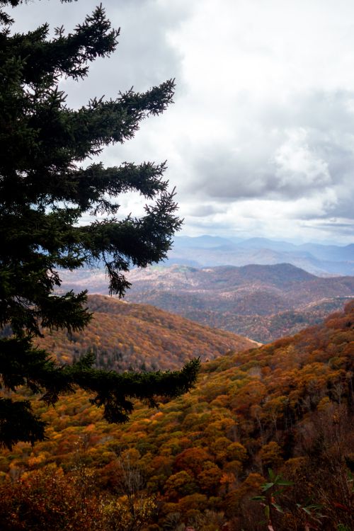 Free A breathtaking view of the Blue Ridge Mountains showcasing autumn foliage under a dramatic cloudy sky. Stock Photo