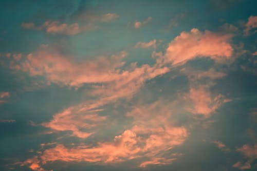 Free From below of pink fluffy stratus clouds floating in blue sky at sunset Stock Photo