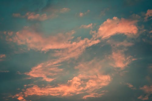 From below of pink fluffy stratus clouds floating in blue sky at sunset