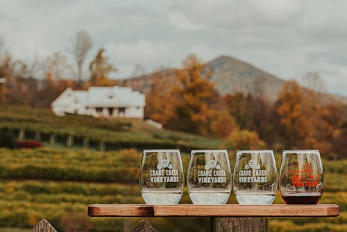 Kostnadsfri bild av alkohol, amerika, berg