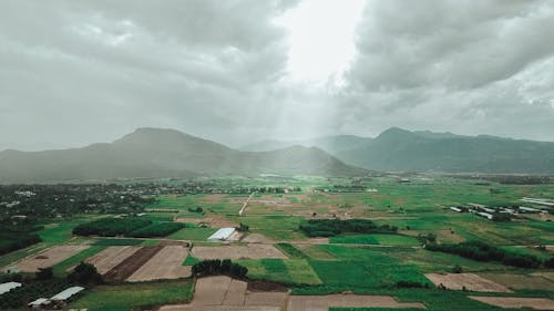 Gratis lagerfoto af aan lichtbak toevoegen, arm frisk, Asien