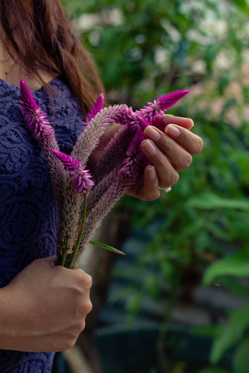 Close-Up Shot of a Person Holding Purple Wild Flowers