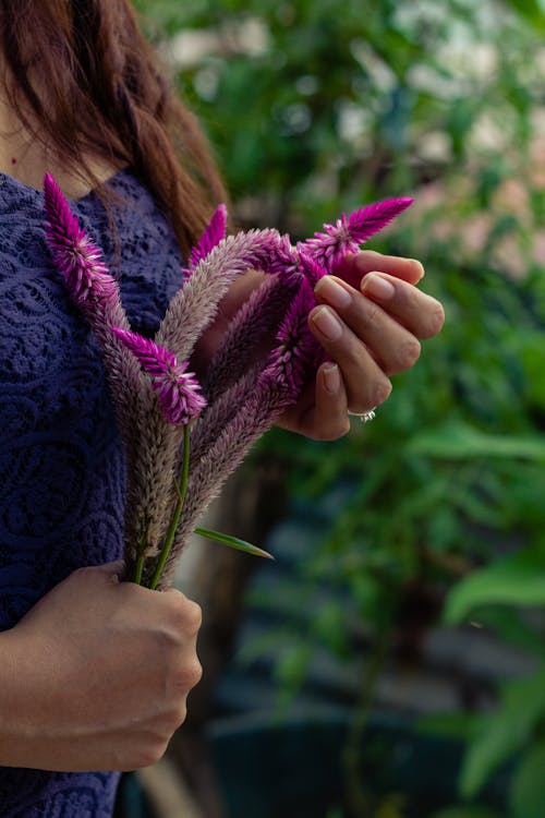 Gratis arkivbilde med blomstret, delikat, dybdeskarphet